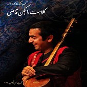 کلاهت را بکن قاضی