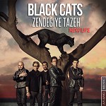 Zendegiye Tazeh by Black Cats Band