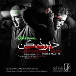 Divooneh Kon feat  Arash AP