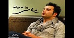 پیاده می شم