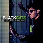 Yeki Tooye Zendegime by Black Cats Band